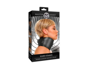Master Series Padded Lock Posture Collar