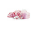 Crystal Delights Minx Pony Tail Plug Pnk