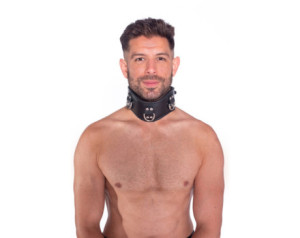 Prowler RED Leather Posture Collar SM