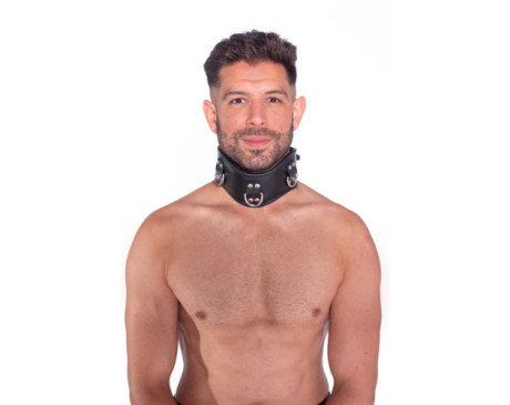 Prowler RED Leather Posture Collar SM