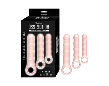 Ass-Sation Anal Wand Training Kit White