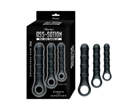 Ass-Sation Anal Wand Training Kit Black